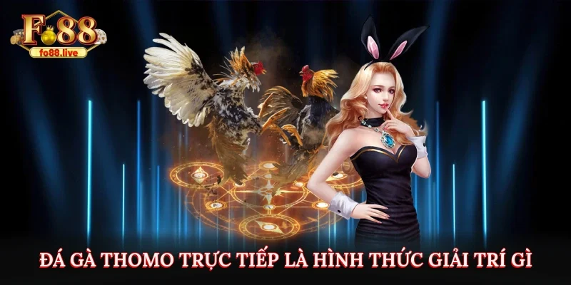 Đá Gà Thomo Trực Tiếp Tại Fo88 - Thú vị và Hấp dẫn - V79