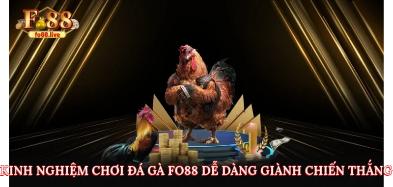 Đá Gà FO88 – Trực Tuyến Uy Tín, Luật Chơi & Lưu Ý - V79